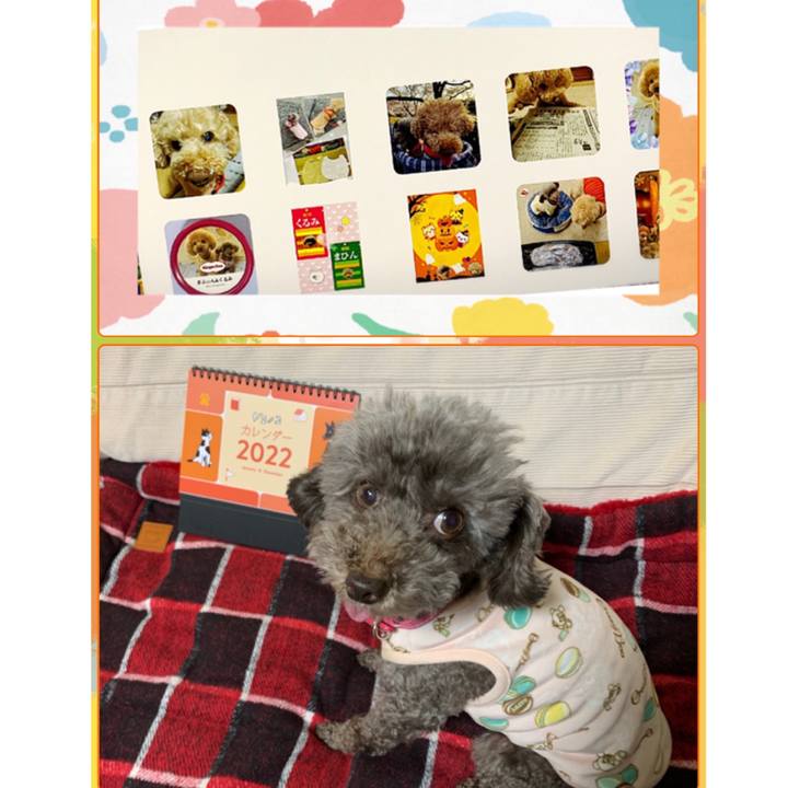 520e1abf d2a9 4f80 89ee 70a20d450e2b 1637227994906