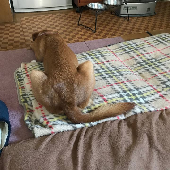 520e7422 d413 4edd 8305 751ea9ac2825 1520677170792