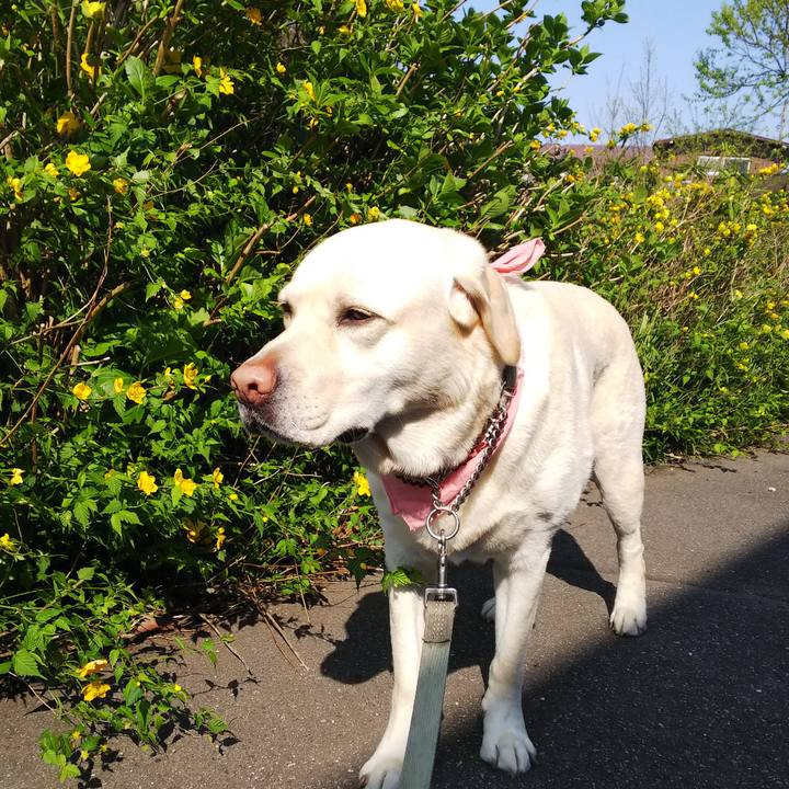 520e938a 7cbd 4c33 87cc cce1233bb950 1585811227624