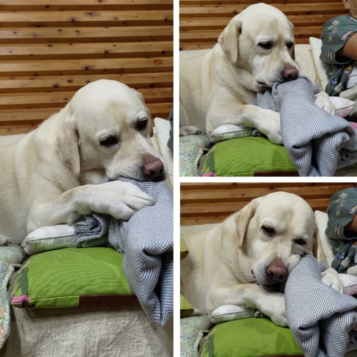 520f1b52 d477 4d32 bc29 8a0211d28462 1695554439068