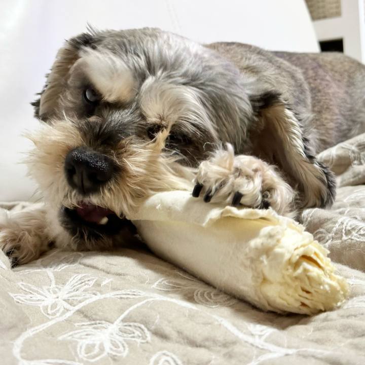 520f52b0 a4d0 45e5 a440 e1afd56e662f 1706622792903