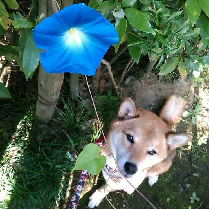 520f5736 3ba0 4b7d 9878 ef3690797a1c 1539128698495