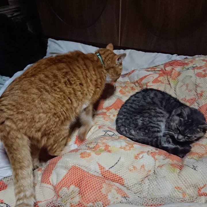 520f87a1 5c8b 4182 9c36 3069c8ce76ed 1581510416196