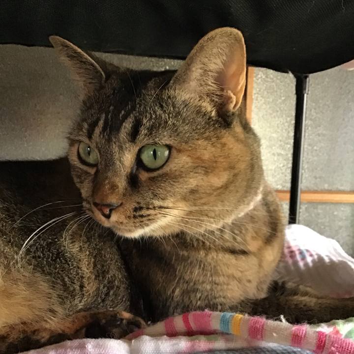 520f8ffd c52d 49ea 8ab4 ce07a4b6f4a7 1663403642147