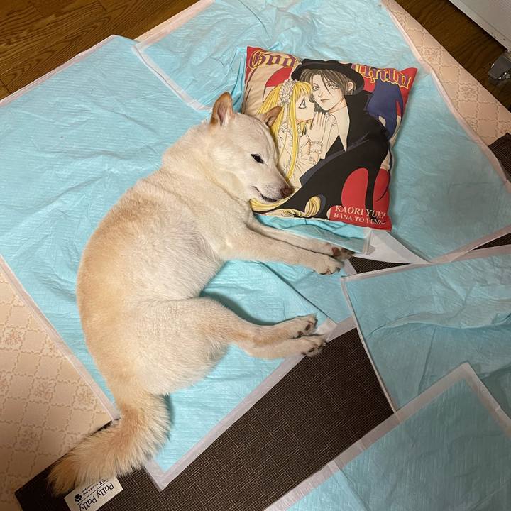 520fbb5b 98a3 4ee0 9d4c 08ab4c436519 1649509727048