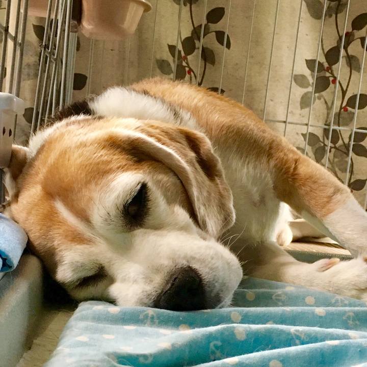 520fd8c3 69d0 43a4 8f3c 00c1e99013cd 1535243844285