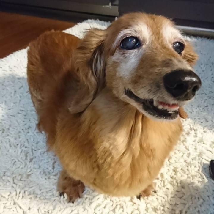 5210318a 8fb9 4f74 8626 3b71f35dca00 1748498708834