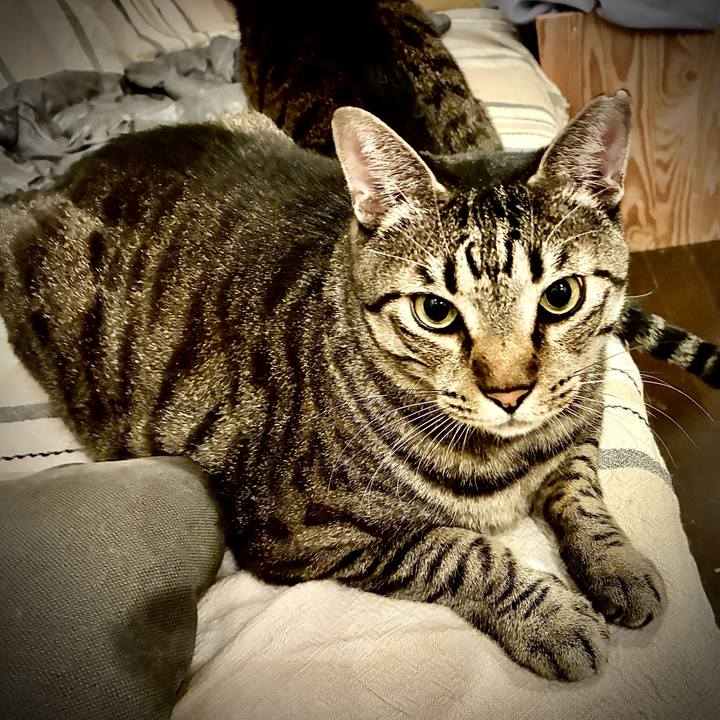 52105ea5 d4d0 42e9 aaff 5bbc7e47e1dd 1764598026762