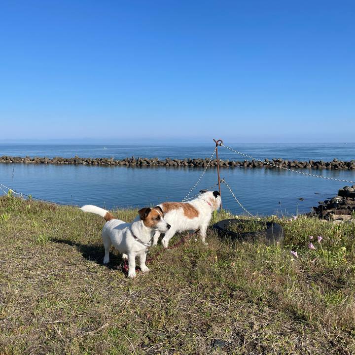 5210ab44 eabe 4cea 9958 6fc1b39c2296 1716333210902