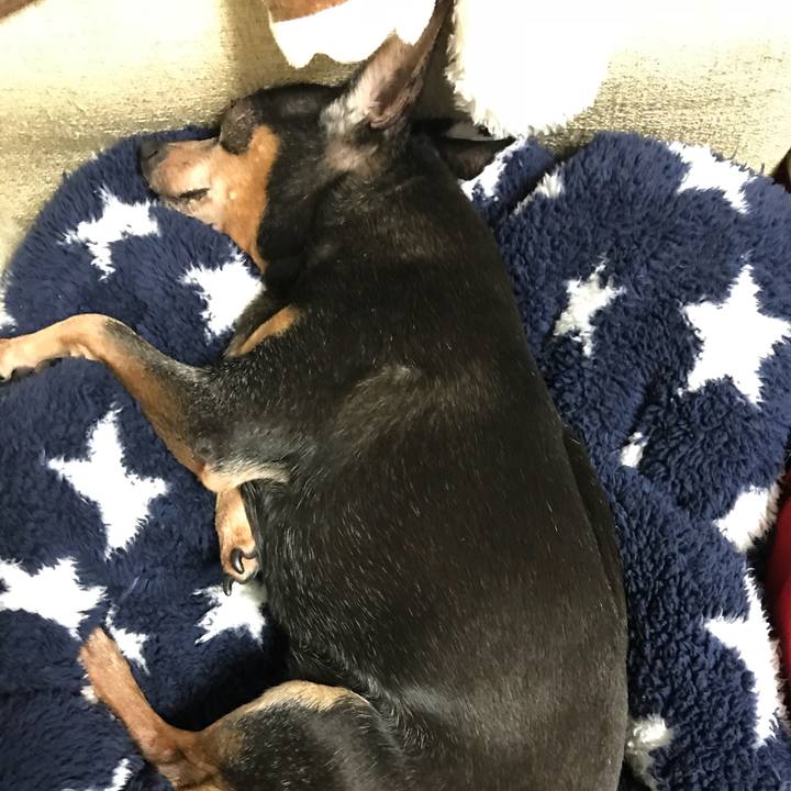 5210fa22 b3aa 41f4 914e 123249767d1c 1555855066561