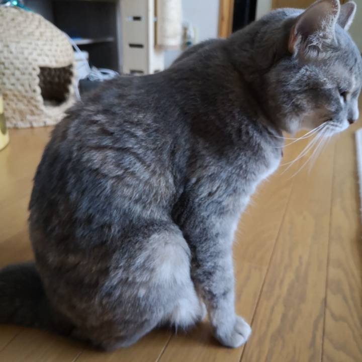 5210fcb5 133b 480d 8044 e45dbc162125 1564184195152