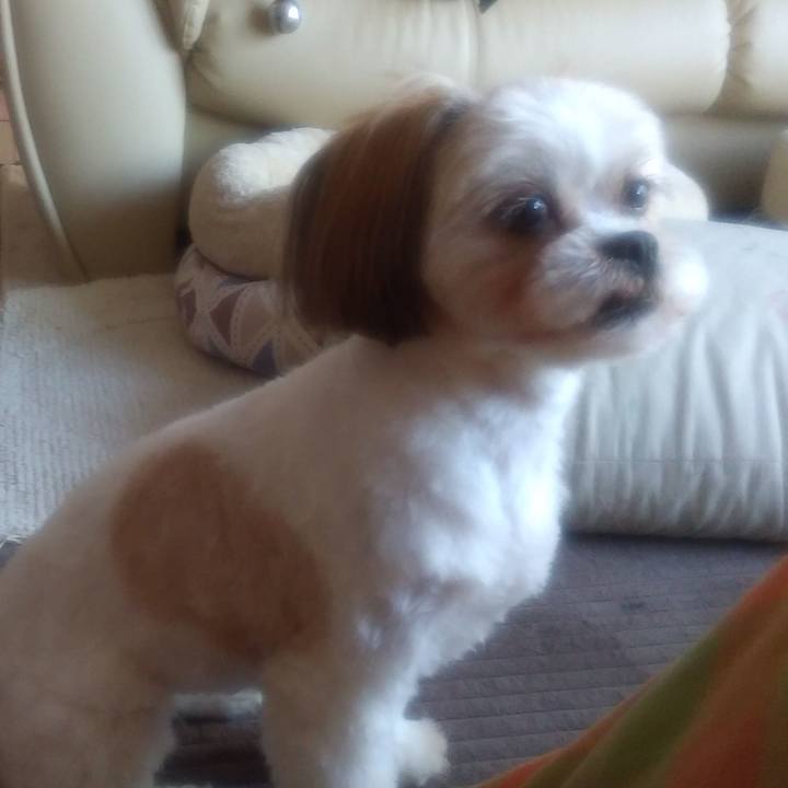 5210fff6 2048 4cca 9a57 151d909ff23f 1588058113648