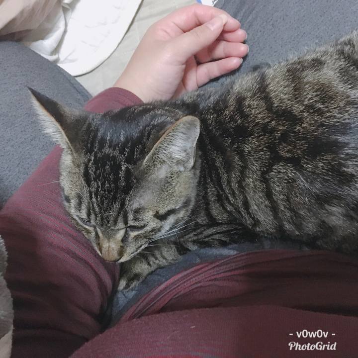 521138c2 d1b2 419c 88d2 a924afd83d5e 1546050518906