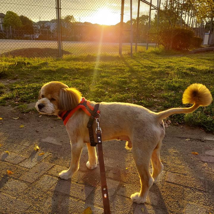 52113d6f 5cd2 4498 8e1b dfe0e85b7e47 1649677218963