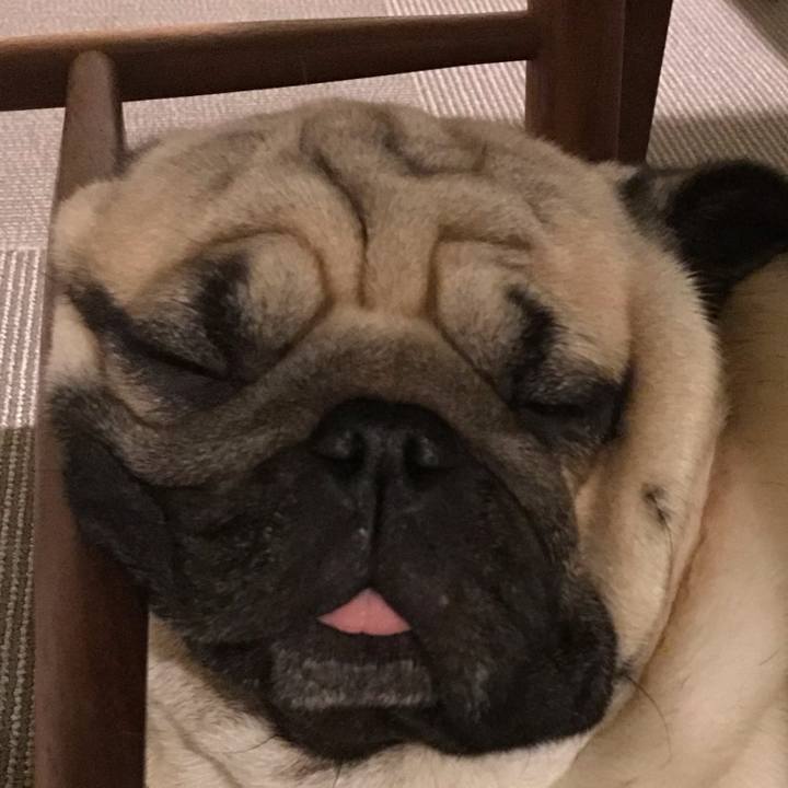 52115eff 0101 454f b6a8 f02e3625283a 1608642459374