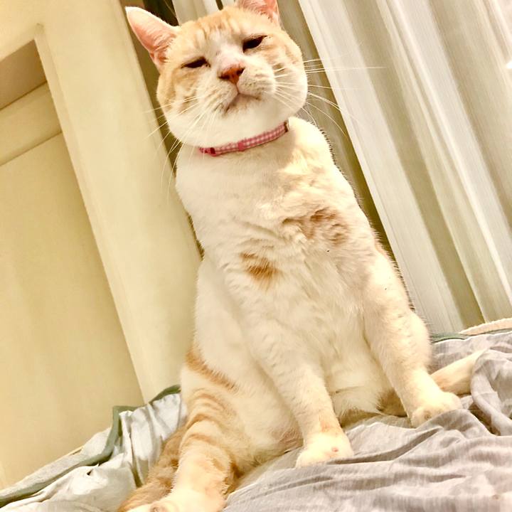 521184df c75c 4e34 81b7 9e157e37d4ba 1593780024181