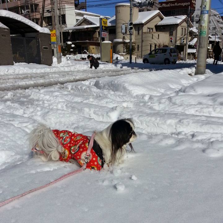 5211b8de e984 464a 8adf 5cbbd2936d7e 1579327298631