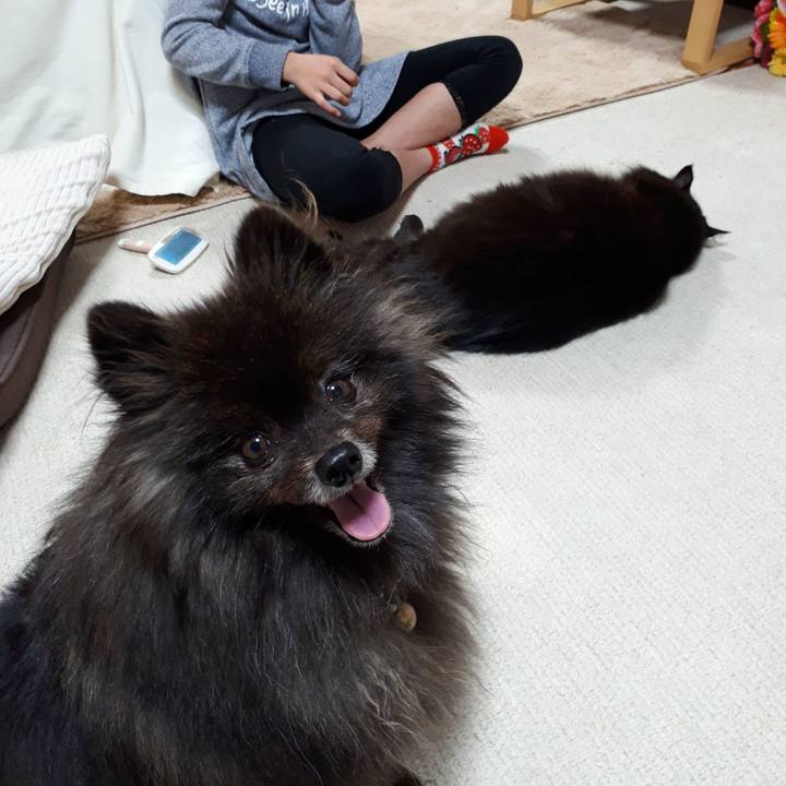 5212228d 6688 4c14 9664 59efdfbdf0d4 1517732488530