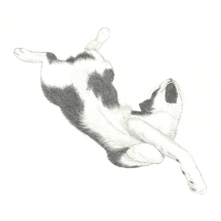 5212619c 20b9 4a95 8323 231c3caa576b 1538962820339