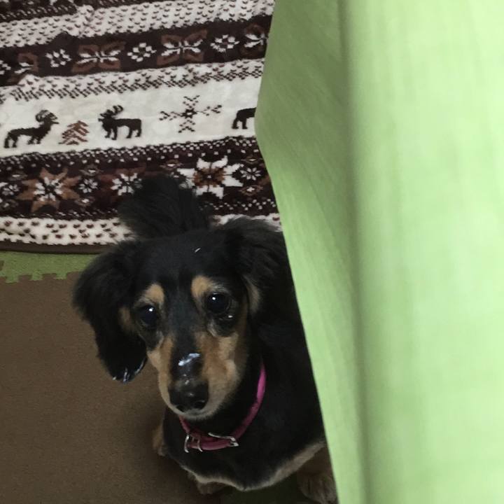 52126a58 7a09 41a0 8f2b 6f9168394b14 1524695445153