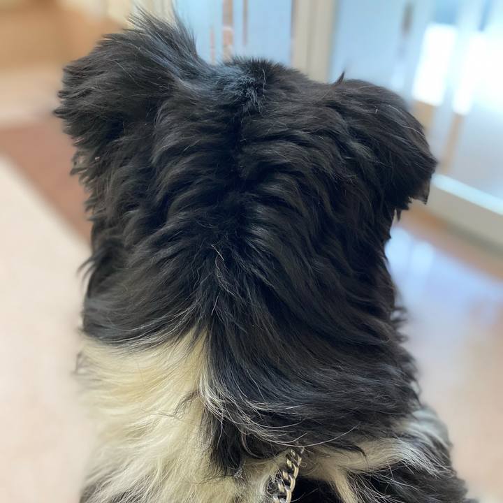 52128fe4 a863 4ccc b40a d337315aa378 1621590734939