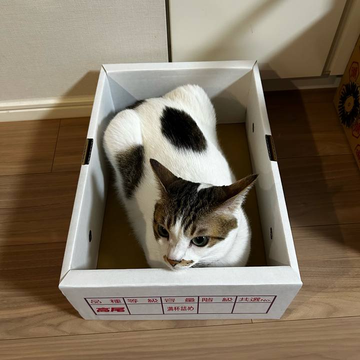 52129aef 8e90 4e37 b038 677f55331b72 1756510082984