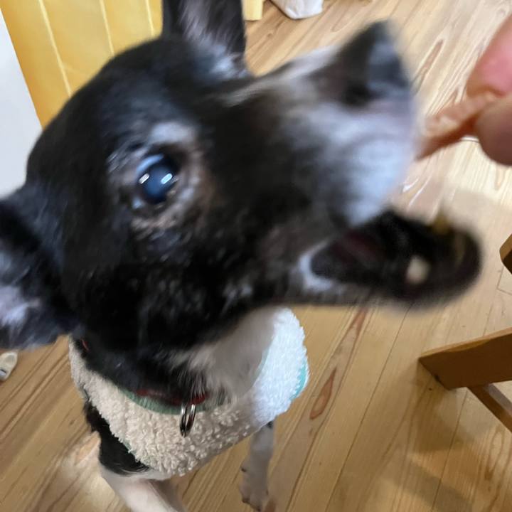 5212a17a 6c5e 4e48 a65e a3bfa437298d 1767523015479