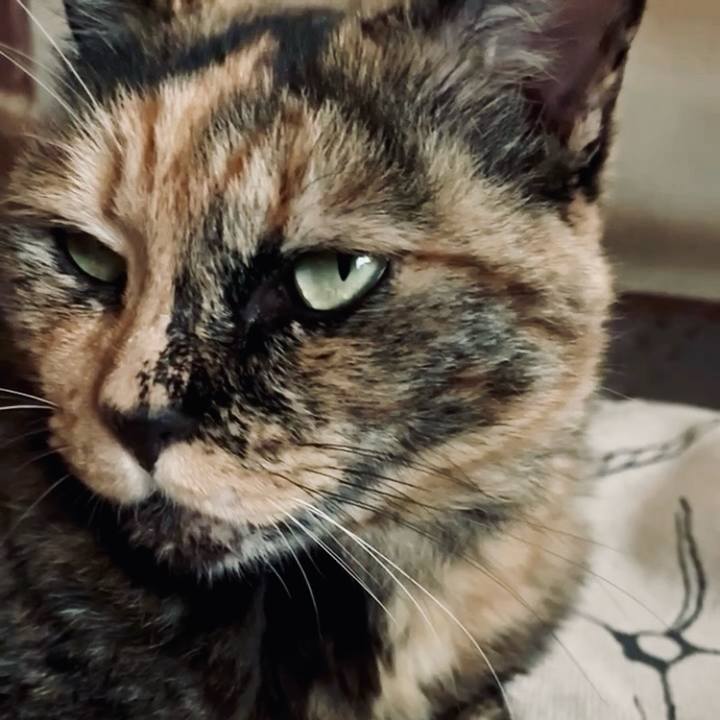 5212a4e8 5bc4 45d2 a087 5f4f98fdbdec 1753013318678