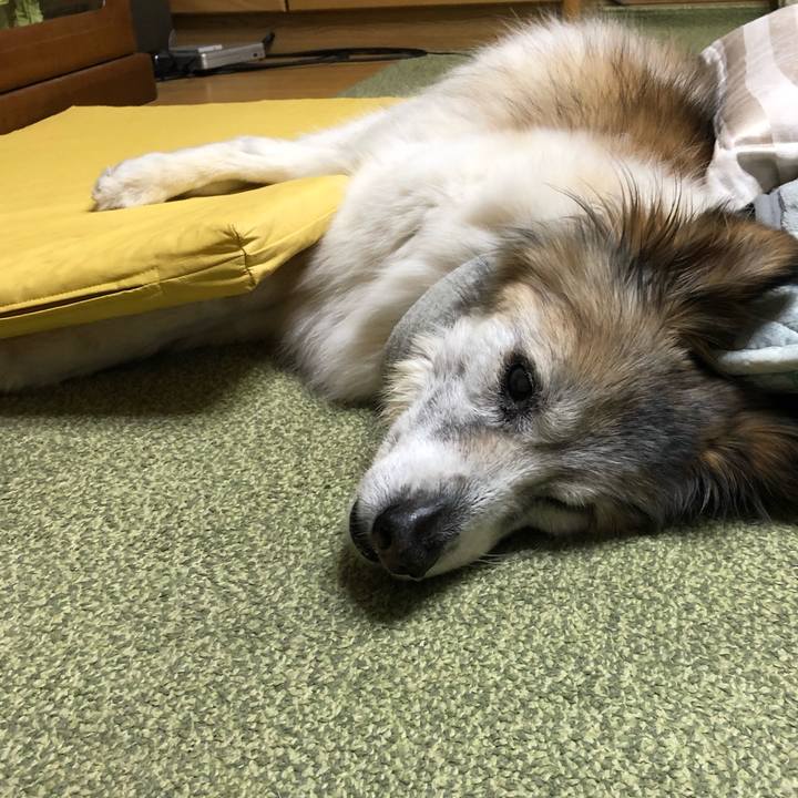 5212aa79 d929 42dc 9661 389728361e35 1556152469291