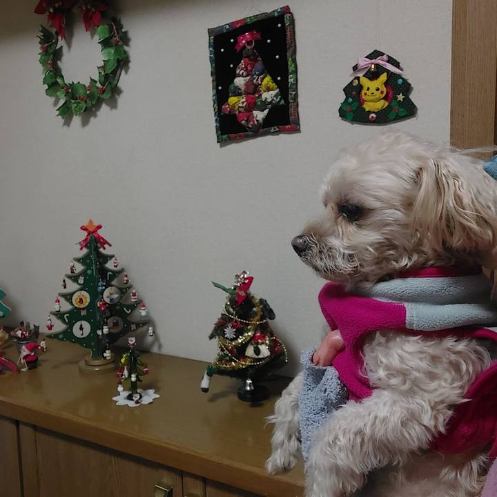 5212d2e4 30aa 47ce afd6 f0566650949e 1735026658100