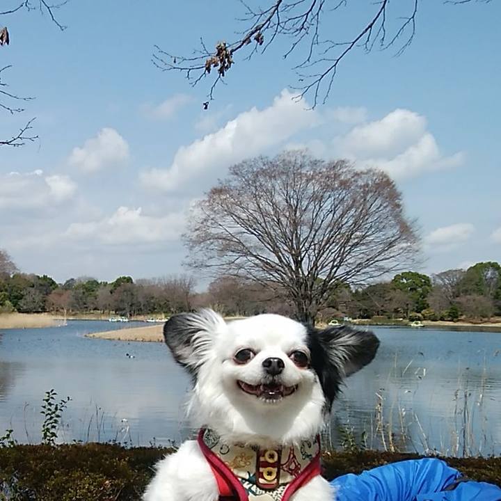 52130fae 719f 4360 a432 18954ecda36a 1521888171029