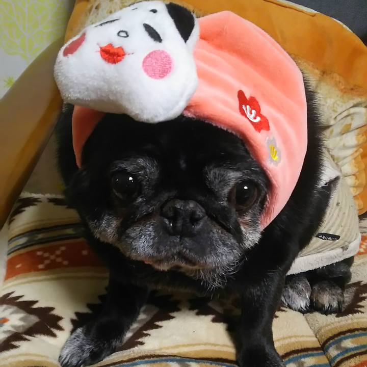 52134088 e596 4337 86a2 4464f517401c 1612322531428