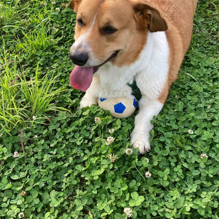 52135762 d865 4eb6 90ea 74d1b2af6d1d 1716549954323