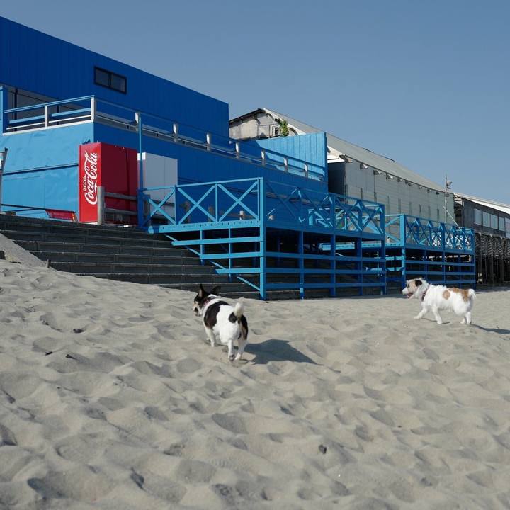 52135d5d 56e9 4dd2 9006 6bbfb0a574ab 1529816195742