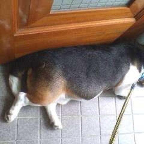 52136361 ba9b 4e70 9f48 6b8657df0009 1752662747308