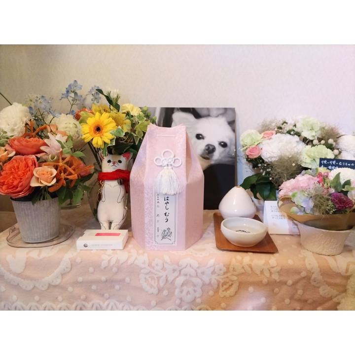 52137b71 f306 4bd4 b141 09077ca5a3bf 1688297067106