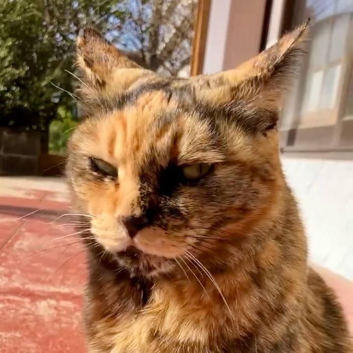 52138915 87bd 4044 a9e0 216fe2b41144 1739757720673