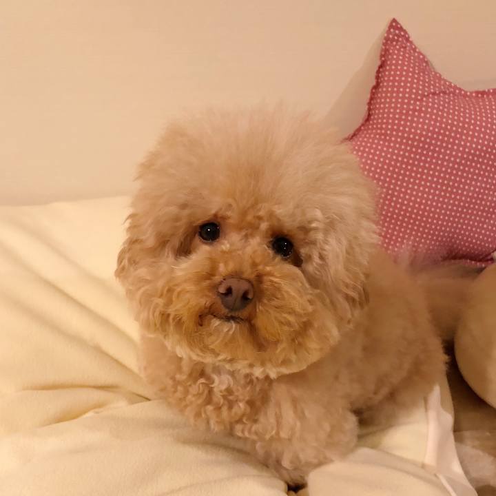 52138cd2 7d6d 4c89 a3e7 52e77f4277aa 1515762357068