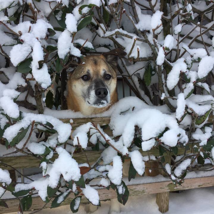 52141bea 2e07 47bd b2bf 1139b6864169 1517013641584