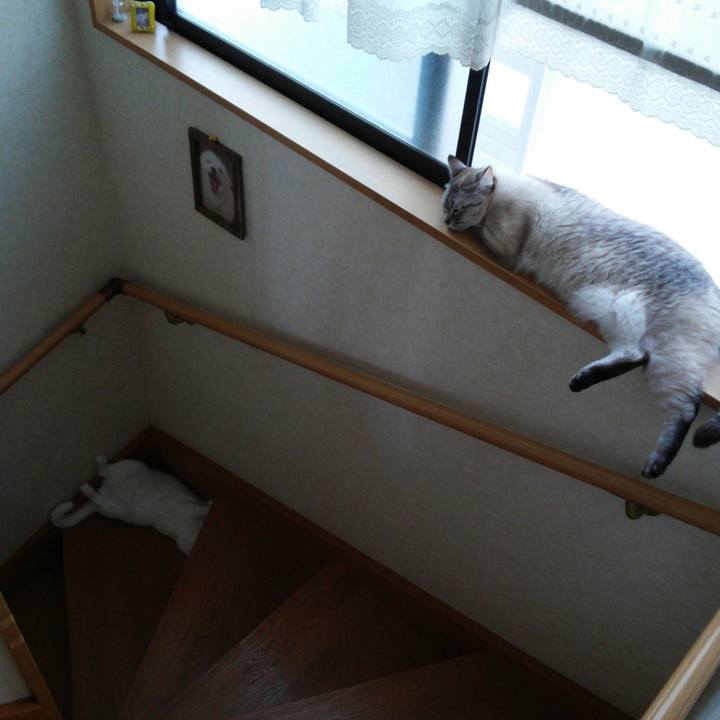 52145545 474a 46b5 a86d c562d47bc73f 1526537864440