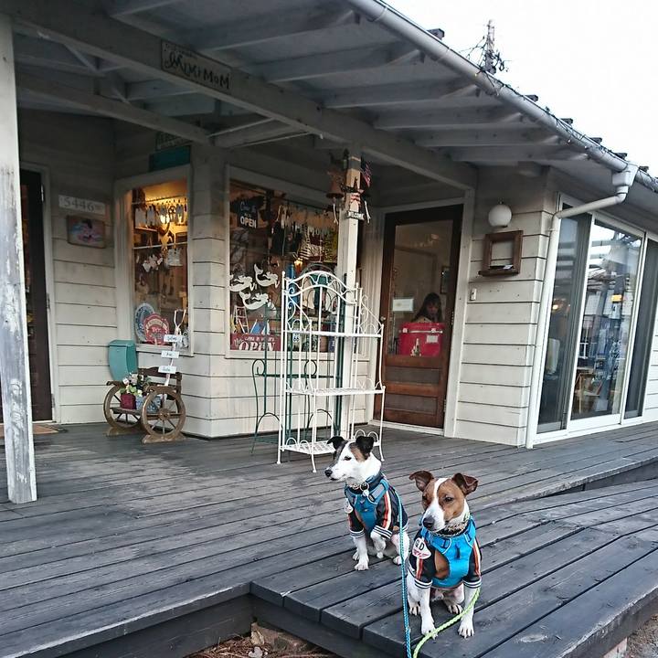 521458e3 3fc8 4384 a18a 9e945c60ae04 1581162608489