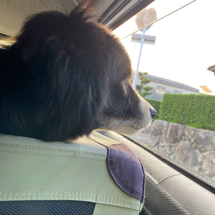 52145fbe f1ee 4f8a 9a1d 4e6ba322b1a9 1697407157861