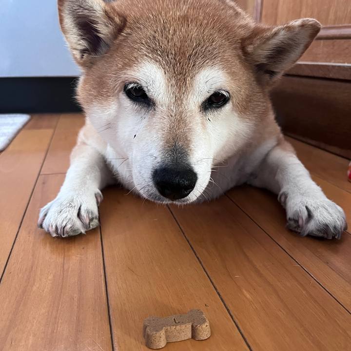 5214a512 5fa9 4aed 89f1 83ba1c79d131 1719282403036