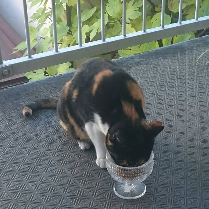 5214a61c 4c35 4651 afc4 ba7407c45e51 1512269666646