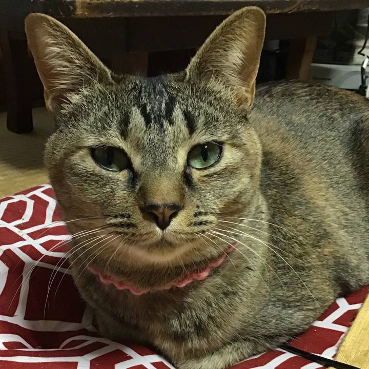 5214daeb 8837 46f5 abfe 5521220ba345 1614763056392