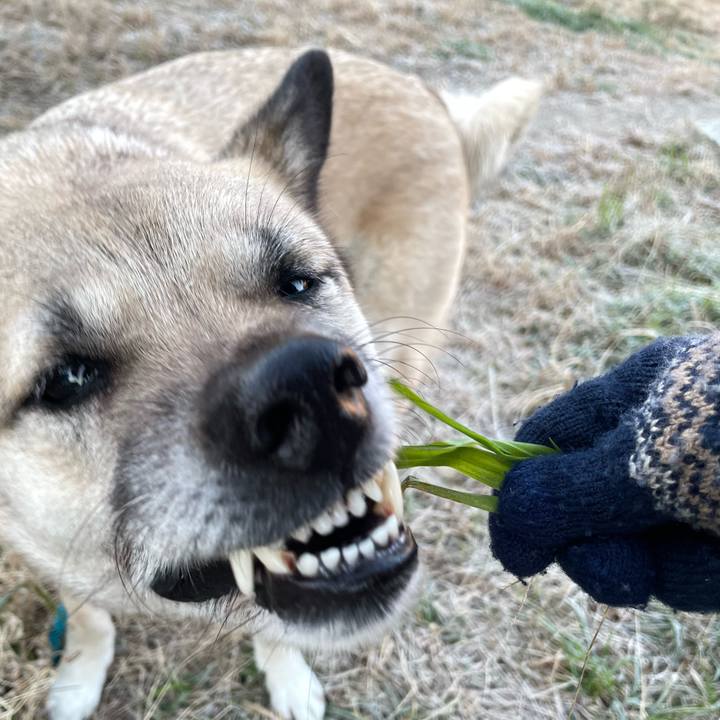 5214ecb9 c478 449e b31c 9476ce1d1ec5 1677500868335