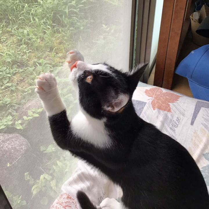 5214ee66 d559 4a6e 9095 c1a1bc91236f 1629098055904