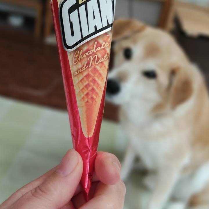 521503b8 c8c6 4a2f a606 1324e095388c 1620602777308