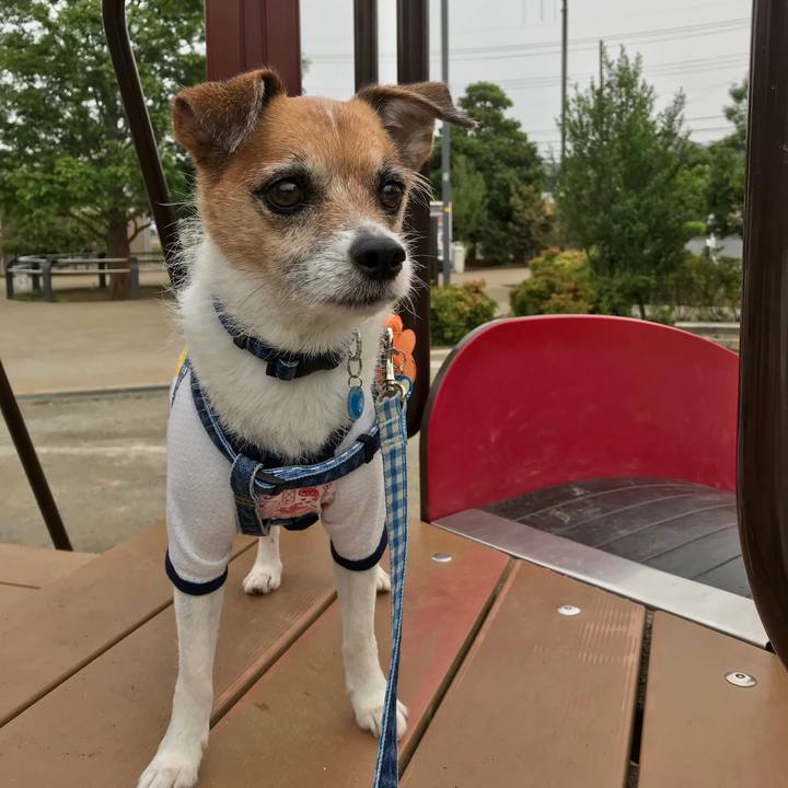 521561af 0344 4a9b 8249 6d46fd71996f 1561069579101