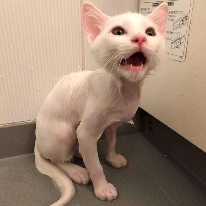 52157bfe 0423 46a0 a80d 03a7c0e078d0 1568153681823